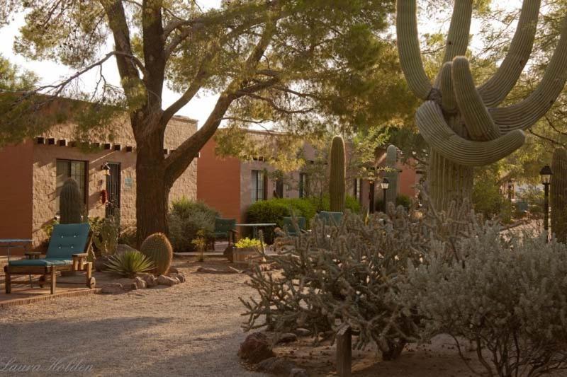 Bed and Breakfast White Stallion Ranch Tucson Exterior foto