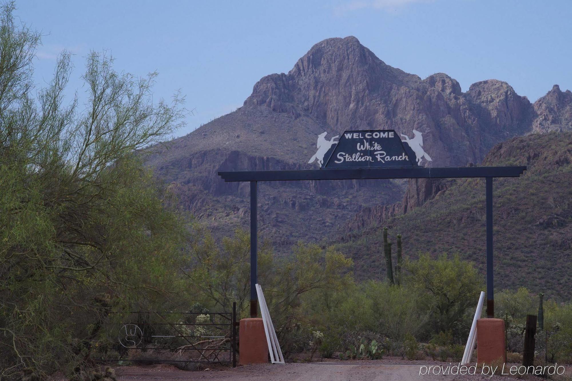 Bed and Breakfast White Stallion Ranch Tucson Exterior foto