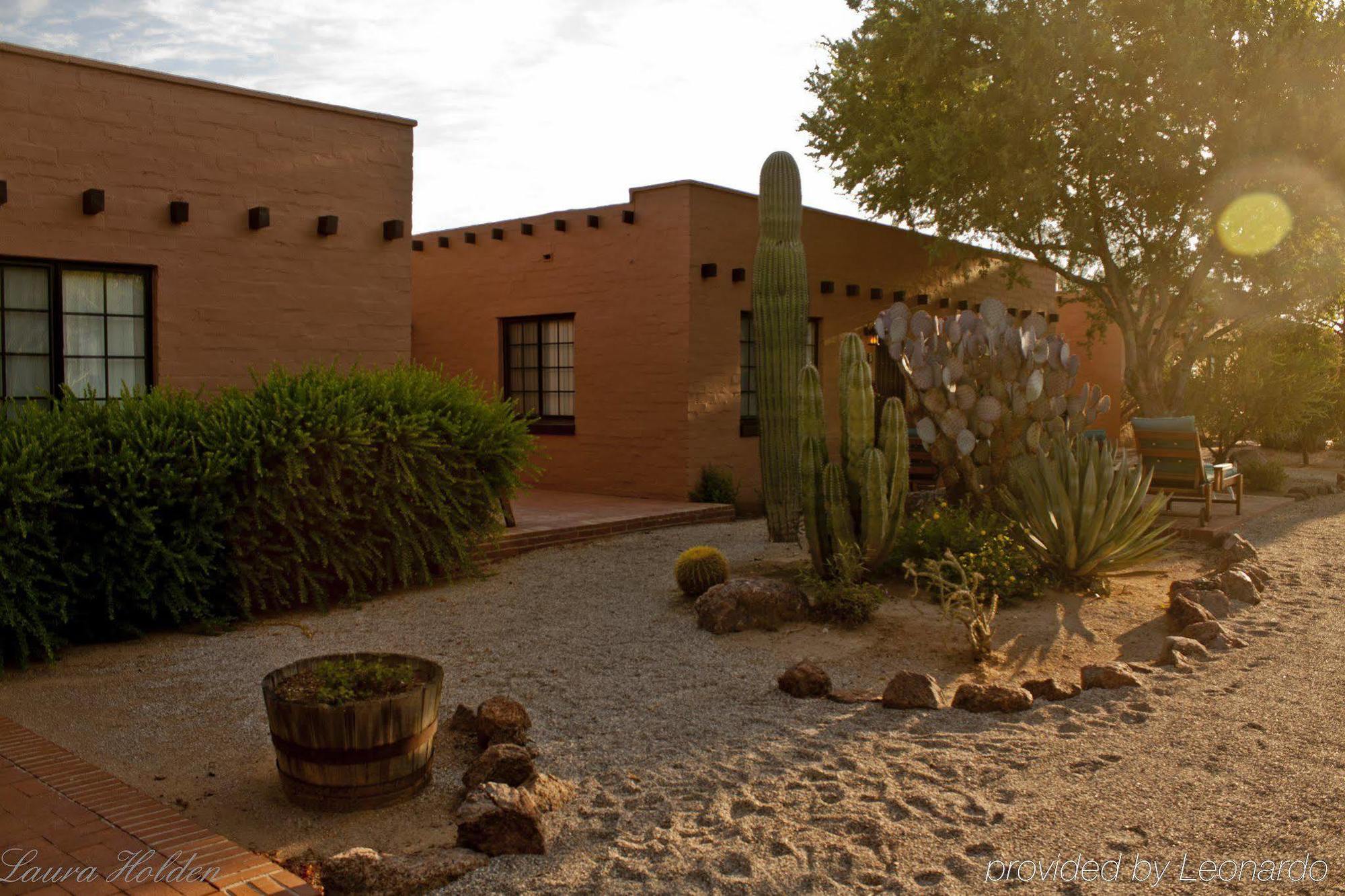 Bed and Breakfast White Stallion Ranch Tucson Exterior foto