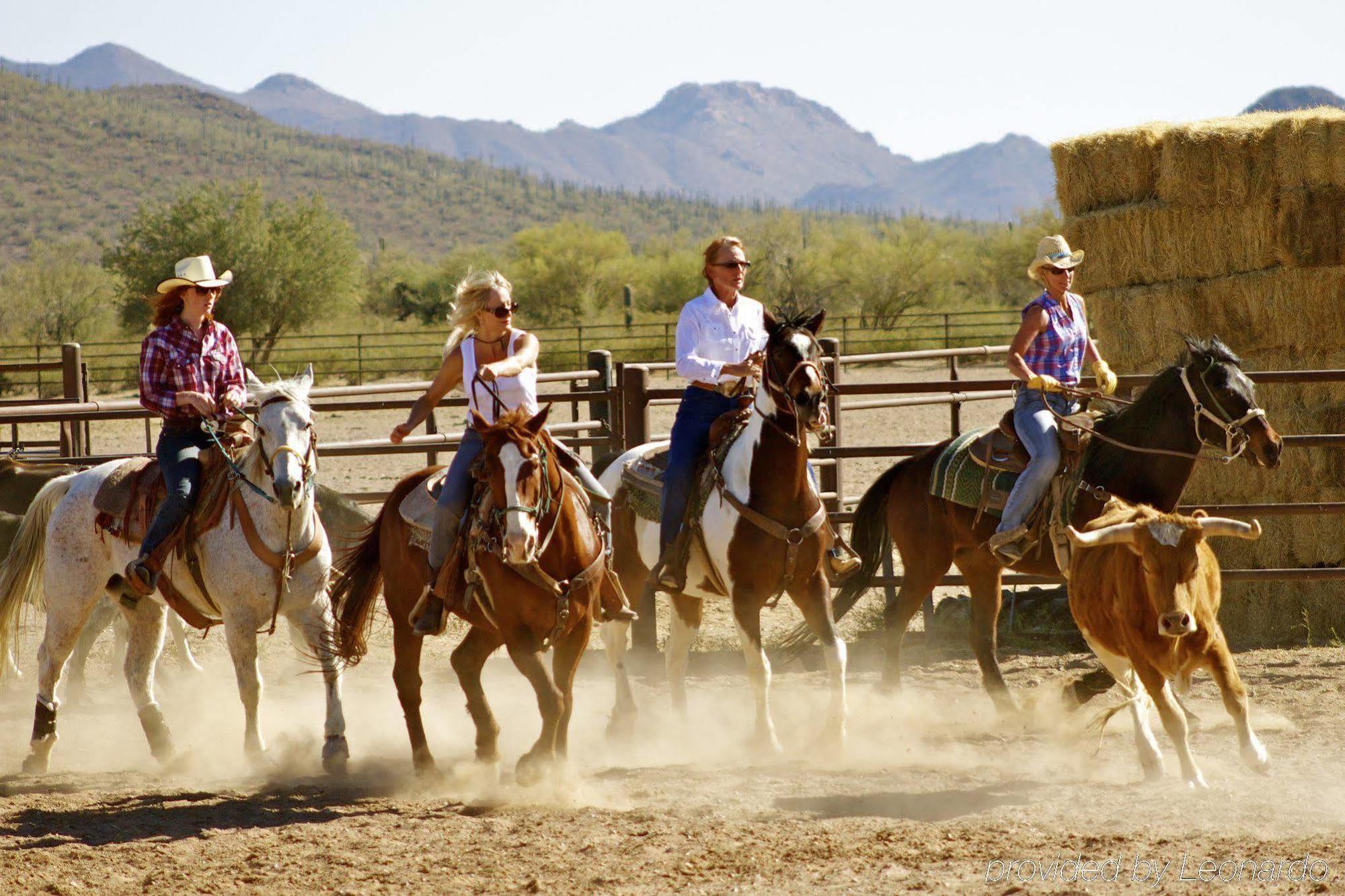 Bed and Breakfast White Stallion Ranch Tucson Exterior foto