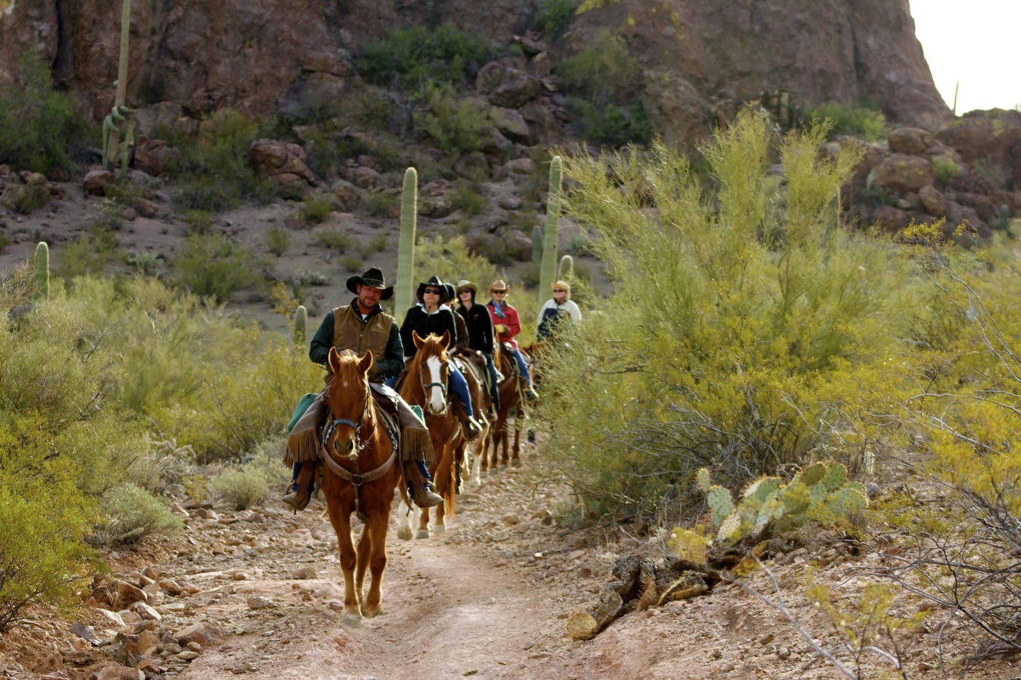 Bed and Breakfast White Stallion Ranch Tucson Exterior foto